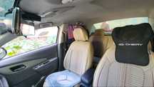 Chexol Cobalt IDEAL