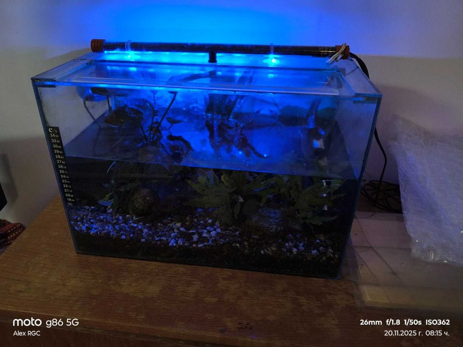 Оборудван аквариум