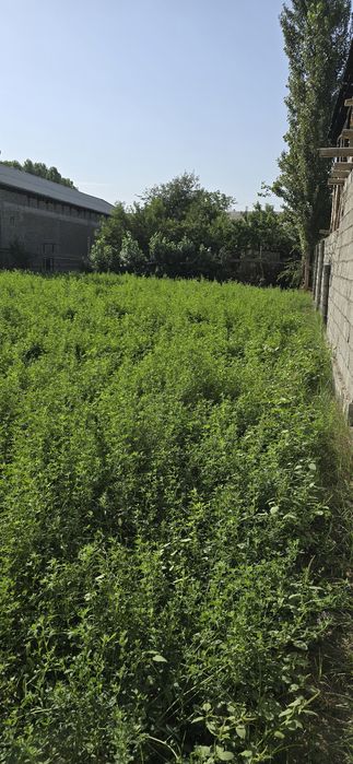 Yer uchastkasi sotiladi.4 sotixli. Narxini kelishamiz