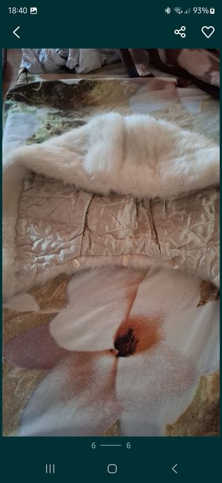 Haina blana vulpe argintie