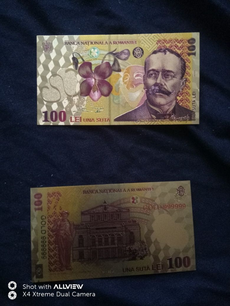 Bani ornament 100 lei