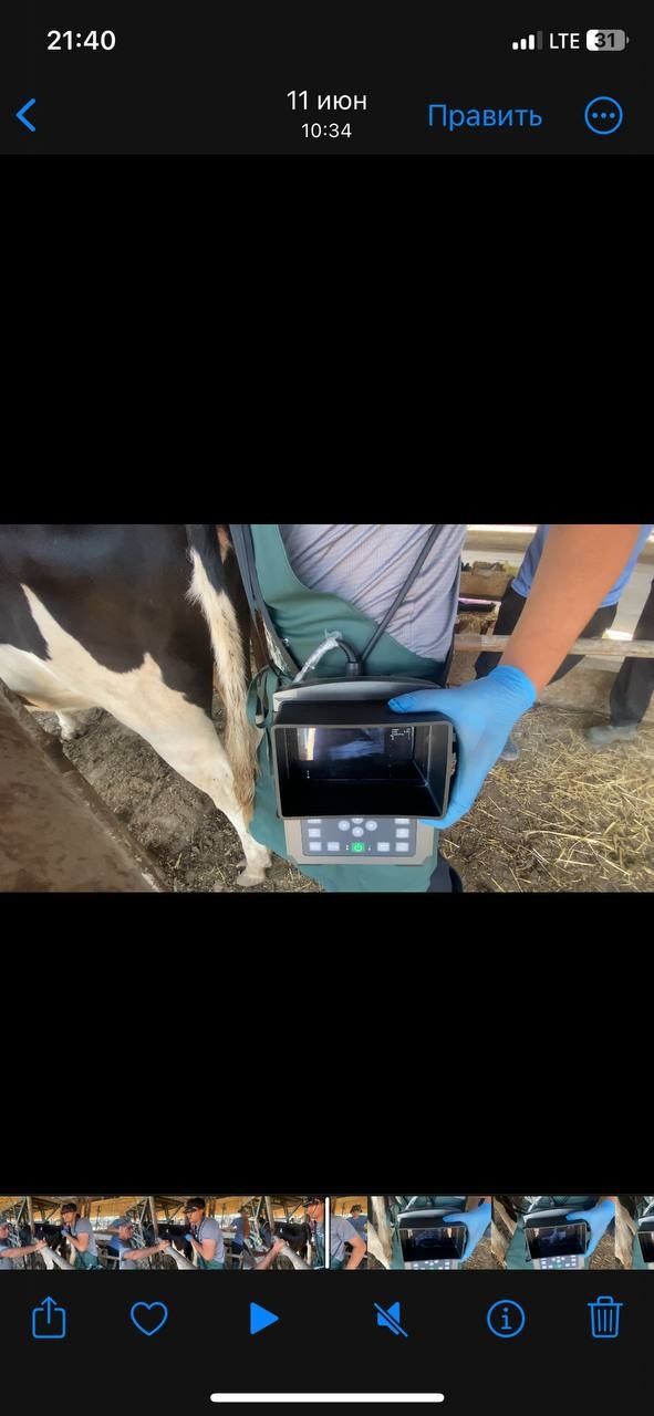 Veterinariya  Uzi xizmati Uzi xizmati