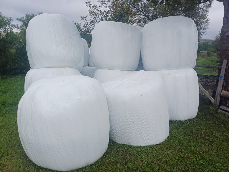 Baloți de lucernă înfoliați