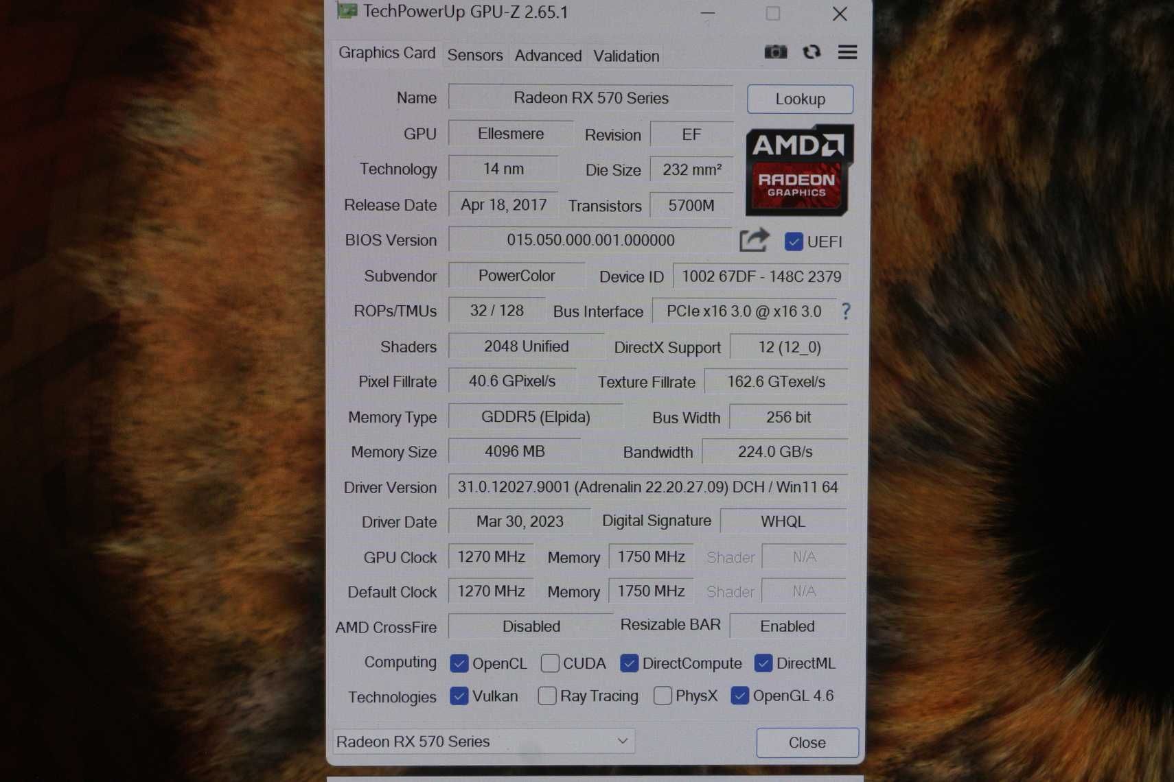 Видеокарта RX 570 4GB PowerColor  Red Devil / вкл ДДС