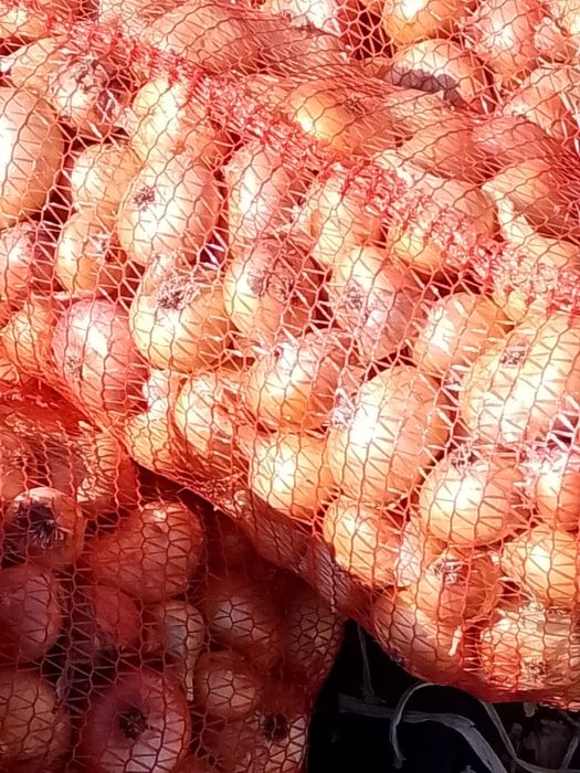 Ceapă de arpagic și ceapă roșie de calitate – direct de la producător!