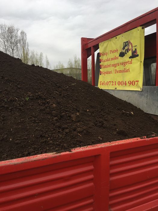 Pamant vegetal negru