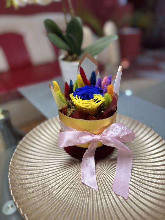 Trabdafir criogenat cu lagurus