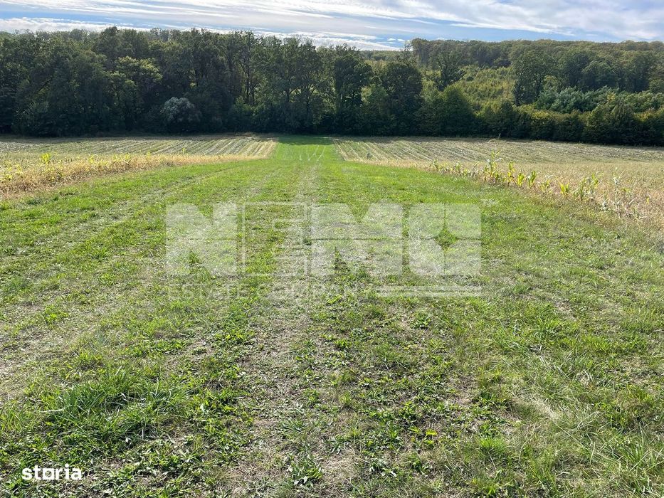 Teren I Adancata I 36 Ari I Langa Padure I 16500 Euro I Comision O% !!