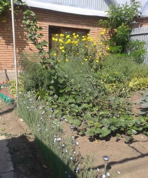 Обменяю на 2х ком. квартиру в районе центрального рынка или продам