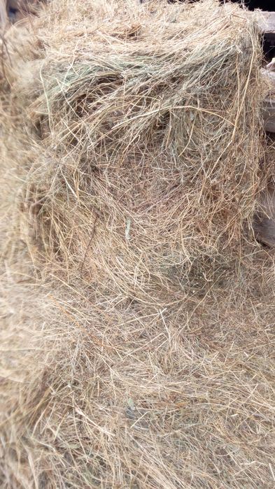 •Baloți din fân calitate de vânzare