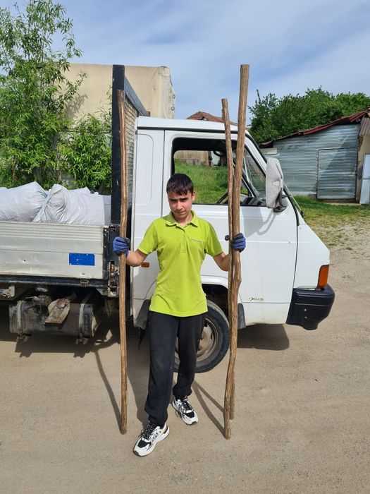 Nuci Chandler Aluni Migdal Mosmon Paulownia Pari Tarusi Tutori >RO UE