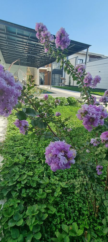 Dacha. Rest island. Своя.Новая Евро Дача с обогревом. Газалкент. .