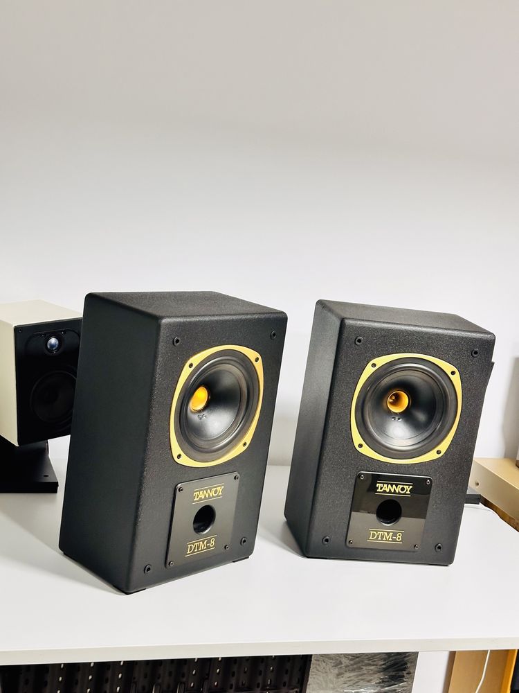 Monitoare/boxe de inaltă fidelitate TANNOY DTM-8,120W