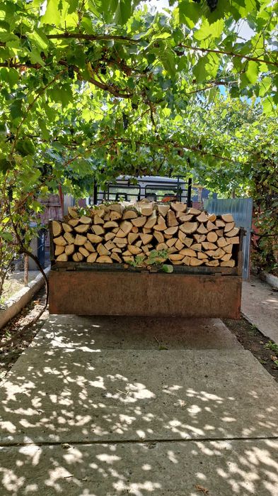 Lemn de foc esenta tare carpen frasin si stejar si esenta moale tei