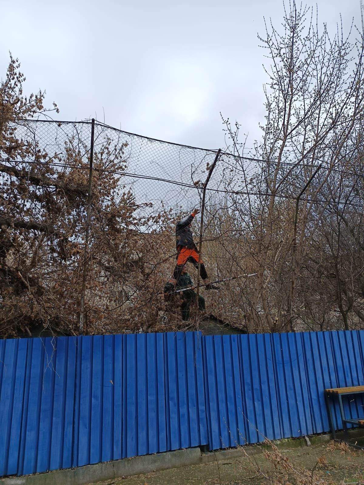 Tăiere Arbori/Alpinism Utilitar Ieftin.