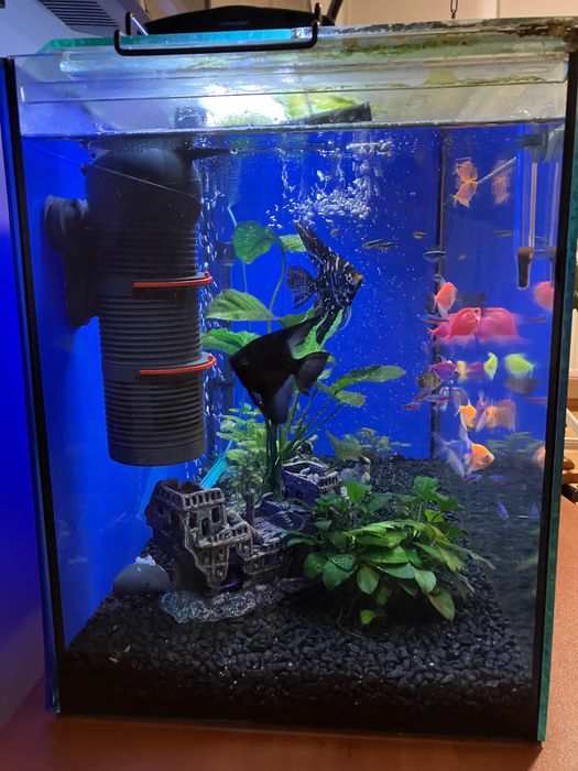 Аквариум оборудван 80 литра
