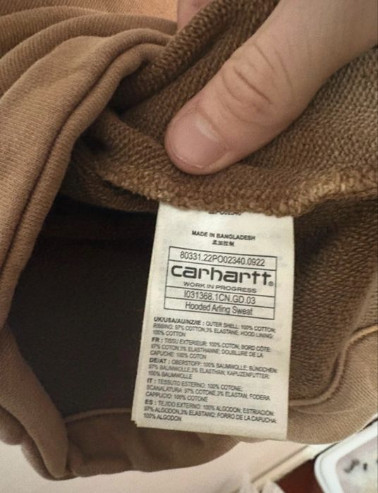 Carhartt hooded arling sweat(hoodie)