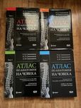Атласи по анатомия Синелников