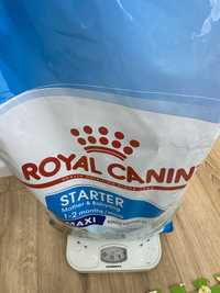 Продаю корм Royal Canin