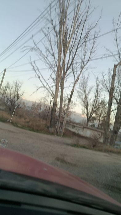 Ағаш отын кесеміз спил аваринных деревьев  дрова