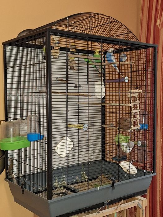 Vand colivie cu accesorii