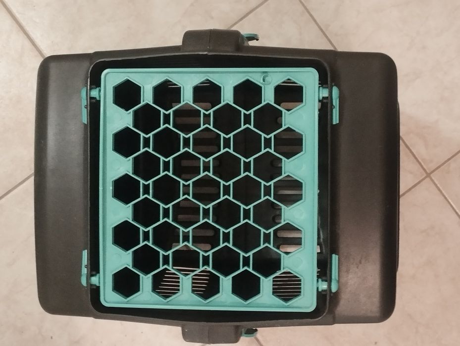 Аксесоари за котка