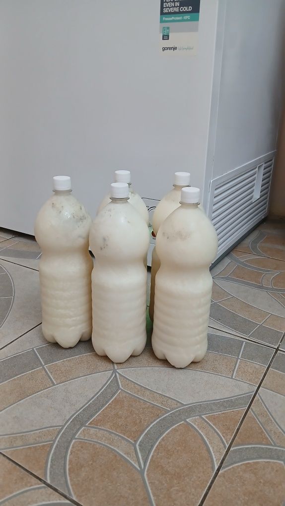 Кымыз Коргалджинский