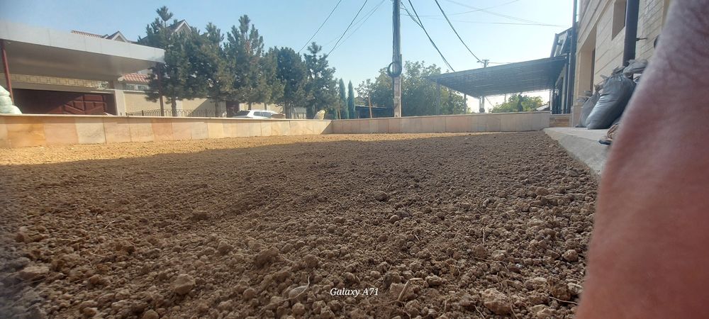 Gazon ekish xizmati archa kesish