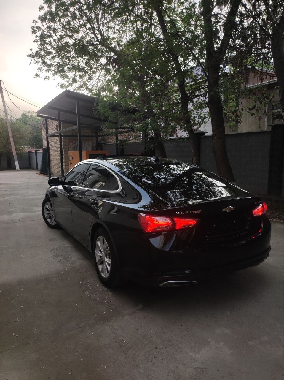 Malibu 2022 Primer ARENDA VIKUP 7000 Blan