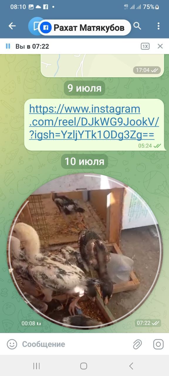 Жужалар сотилади.2 ойли.