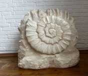 Decoratiune interior “fosila pietrificata”