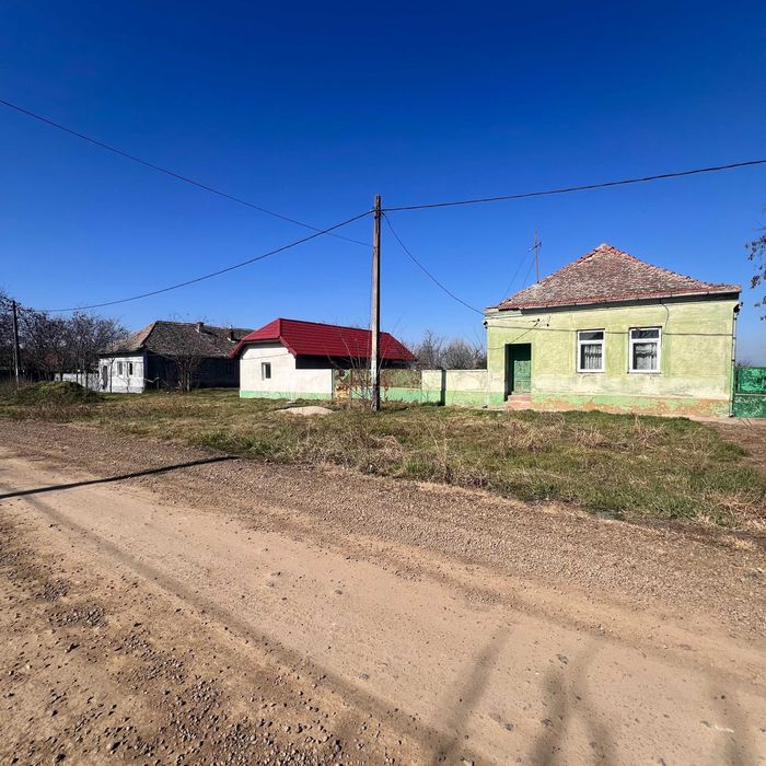 Vand doua case cu teren intravilan in suprafata totala de 8.934 mp.