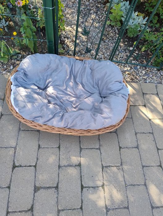 Vând Cos animăluț companie