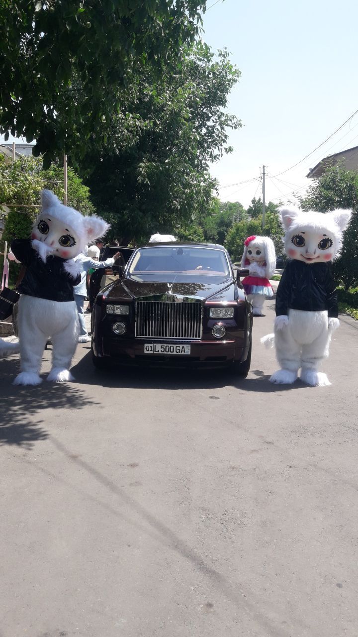 AYIQLAR shou Oformleniya
