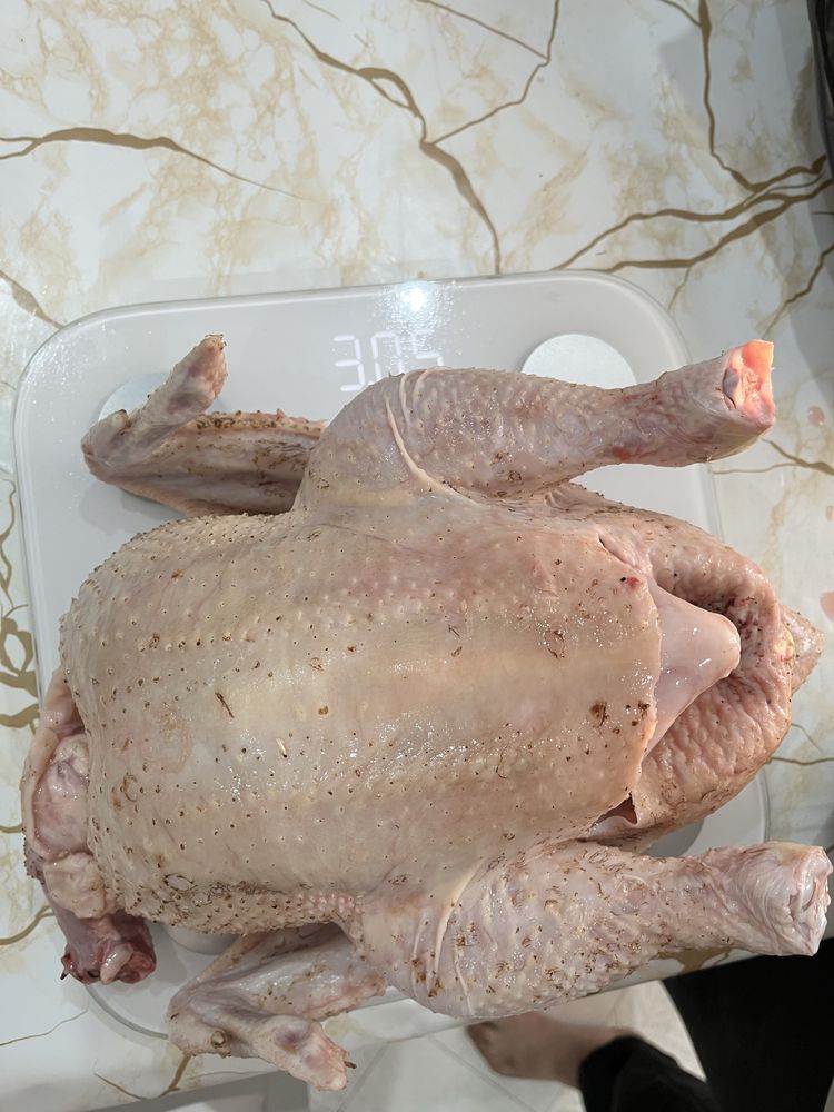 Бройлера мясо , курица мясо