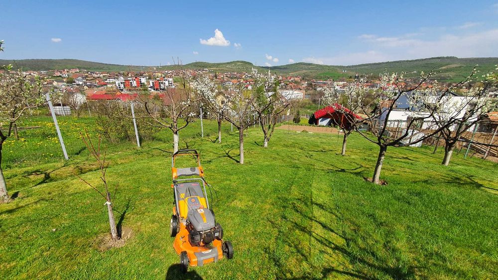 Teren cu AUTORIZATIE constructie casa plus CABANA LIVEZENI, 1824 MP