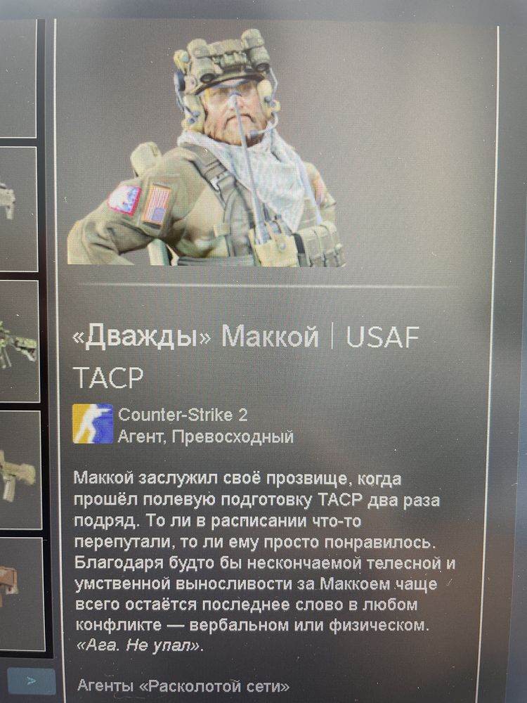 Скин cs2 Агент | Терор и Спецназ