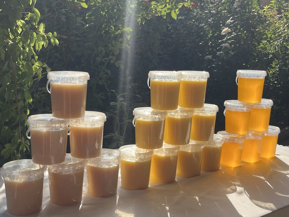 Мёд, в наличии: Жантак/Гречиха/Подсолнух/Хлопок/Разнотравье/Донник