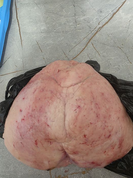 Продам бараний курдюк