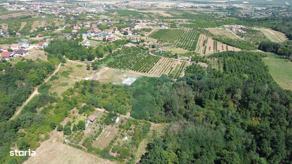 Teren intravilan de vanzare 1500 mp, Paleu, Gaminvest, V4435