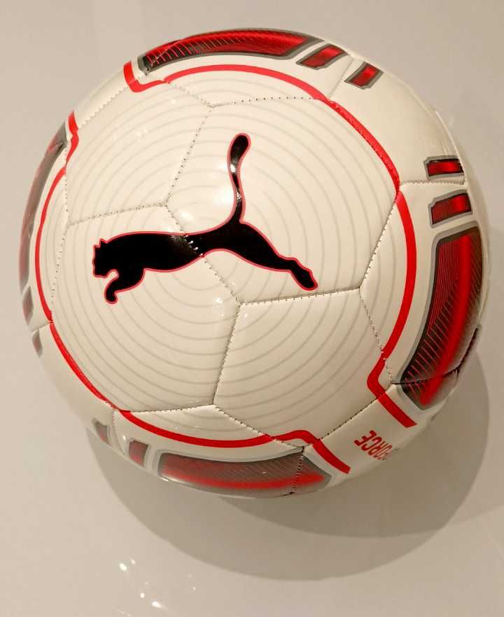 Футболна топка Puma Evo Force