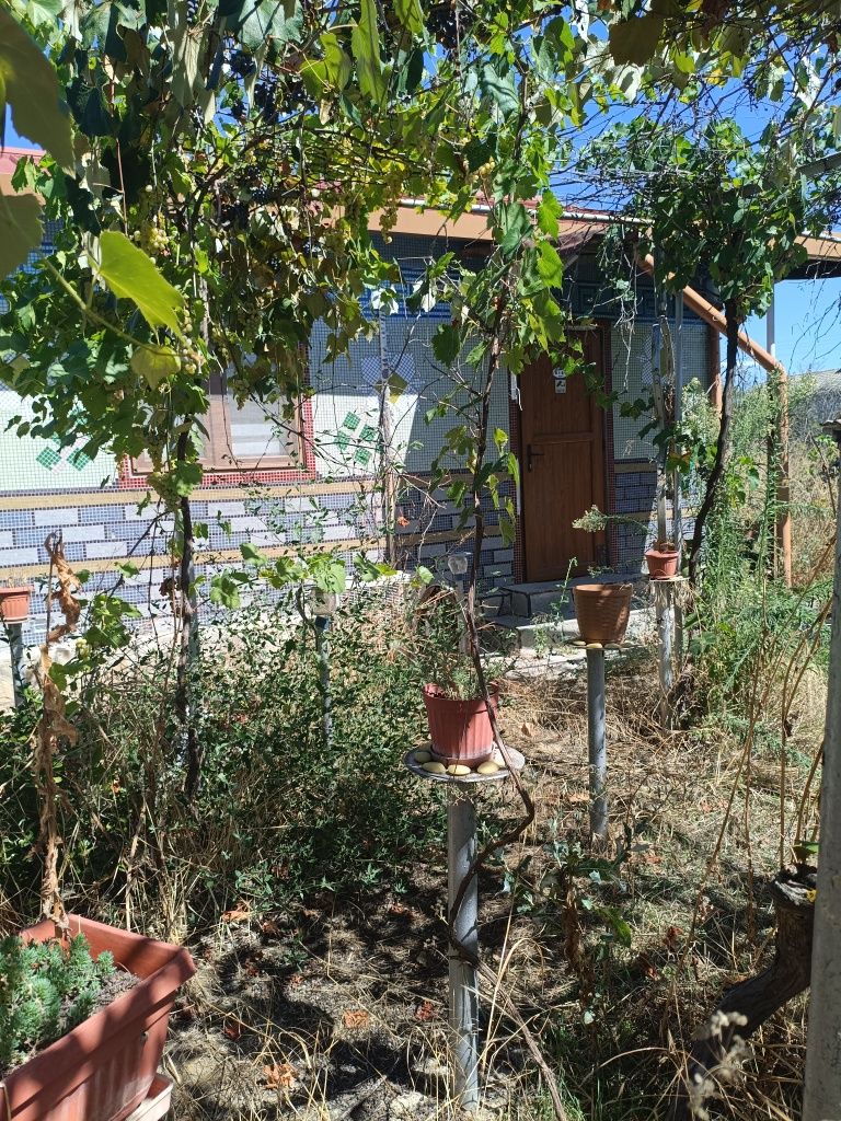 Имот дворно място +бонус сглобяема къща