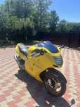 Honda cbr 1100xx Blackbird
