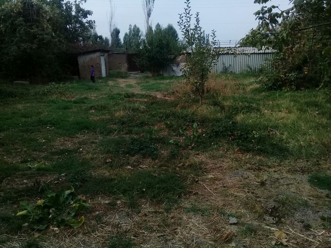 20 sotiqli xovli
