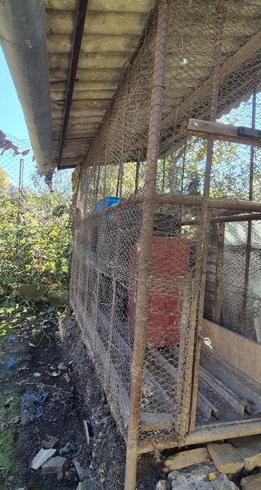 Vănd Costei din metal pentru  porumb