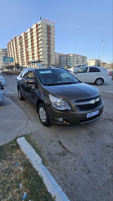 Cobalt mexanika 2023 zeus