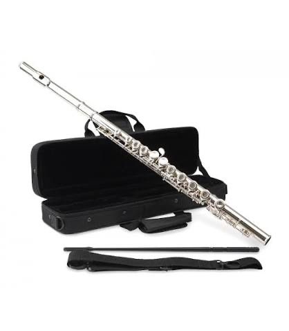 Lecții de Flaut Online