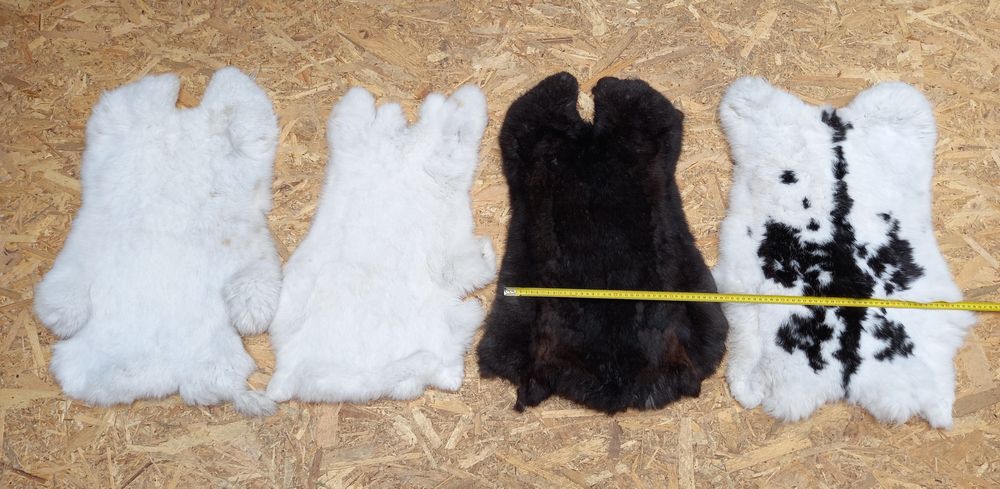 Piei/Blănuri argasite iepure