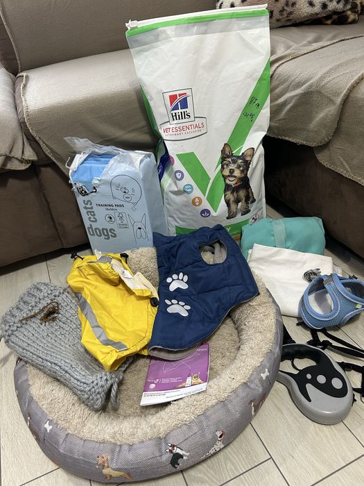 Йоргширски териер мъжки