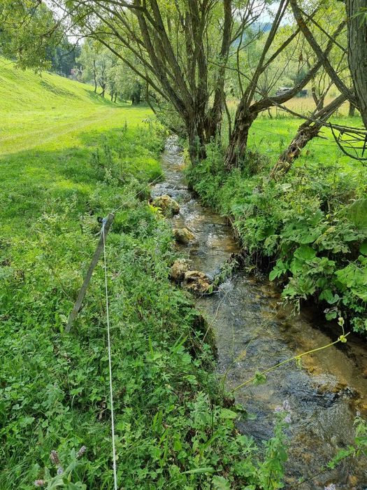 Teren de 36673mp zona Fundata